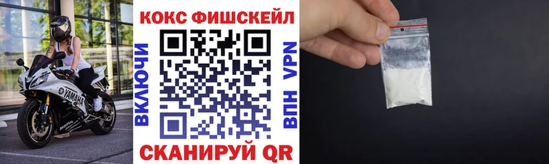 Кокаин FishScale  мега как войти  Туринск 