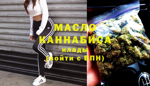 хмурый Осинники