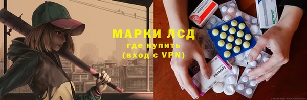 дживик Ветлуга