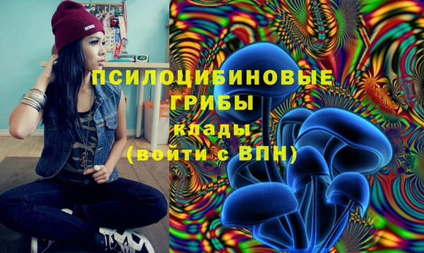 apvp Осташков