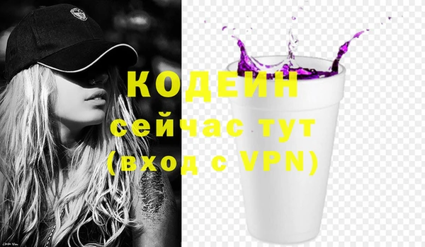 хмурый Осинники