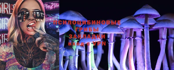 apvp Осташков